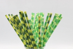 紙吸管和塑料吸管對比有哪些優(yōu)勢?