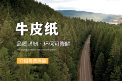 牛皮紙是牛皮做成的嗎？牛皮紙/?？埖纳a(chǎn)與用途